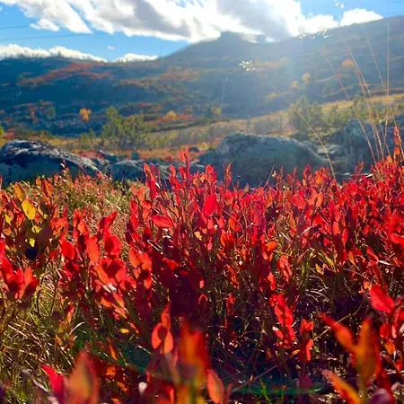 Luppo By Interhome * Levi